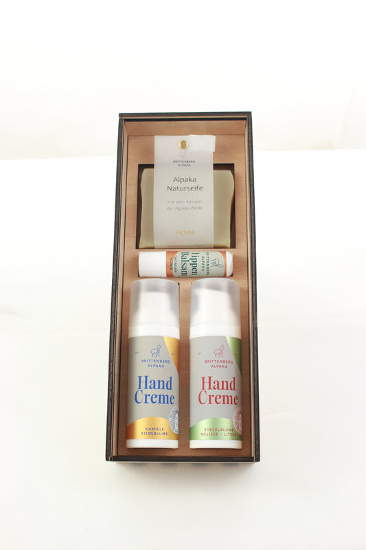 Alpakabox mittel