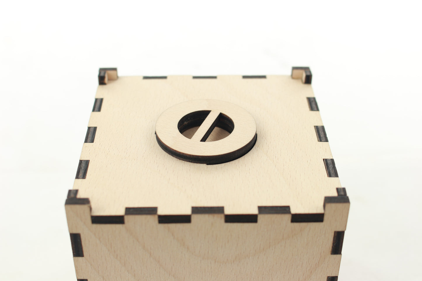 Sparbox Buche