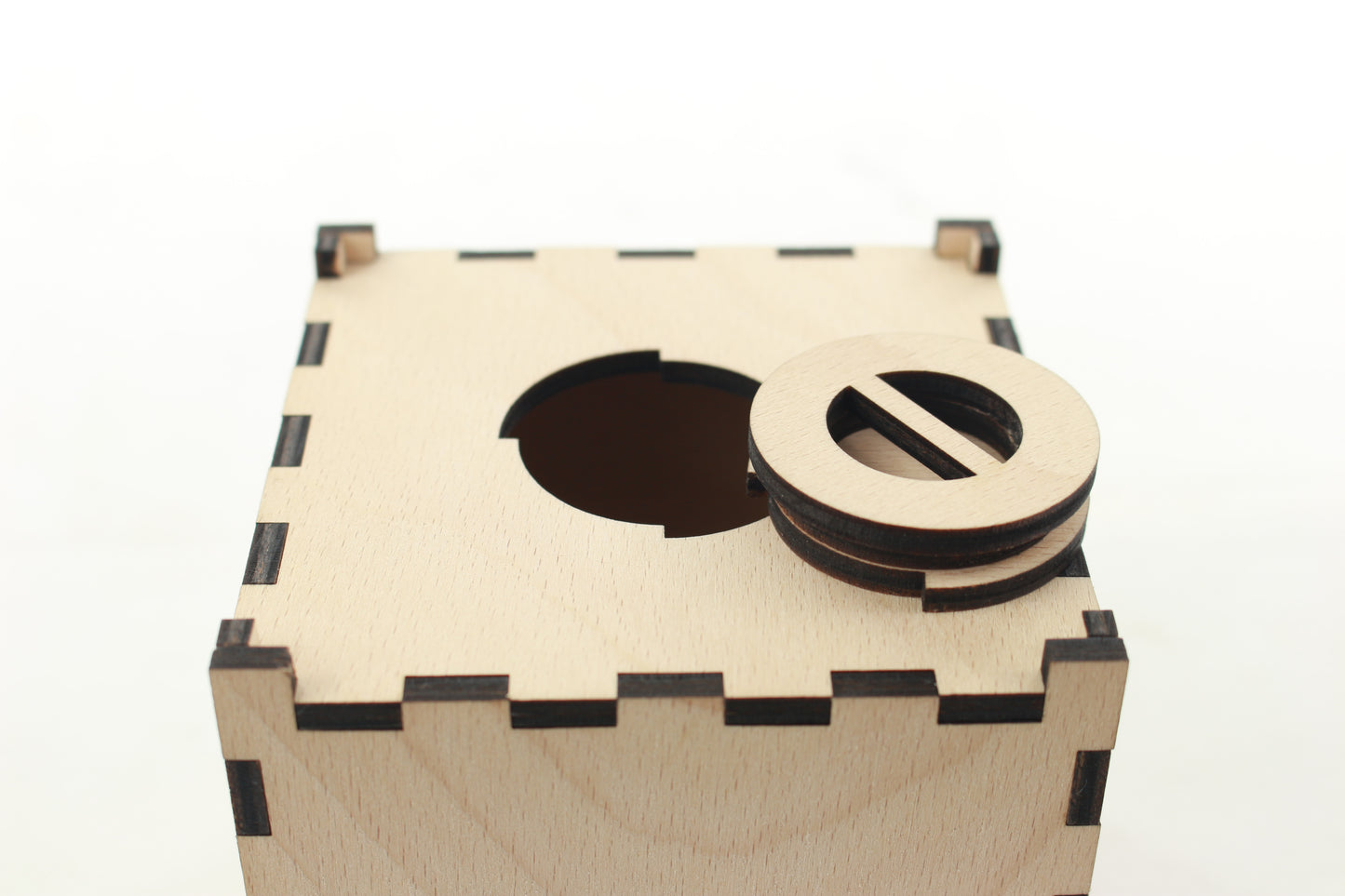 Sparbox Buche
